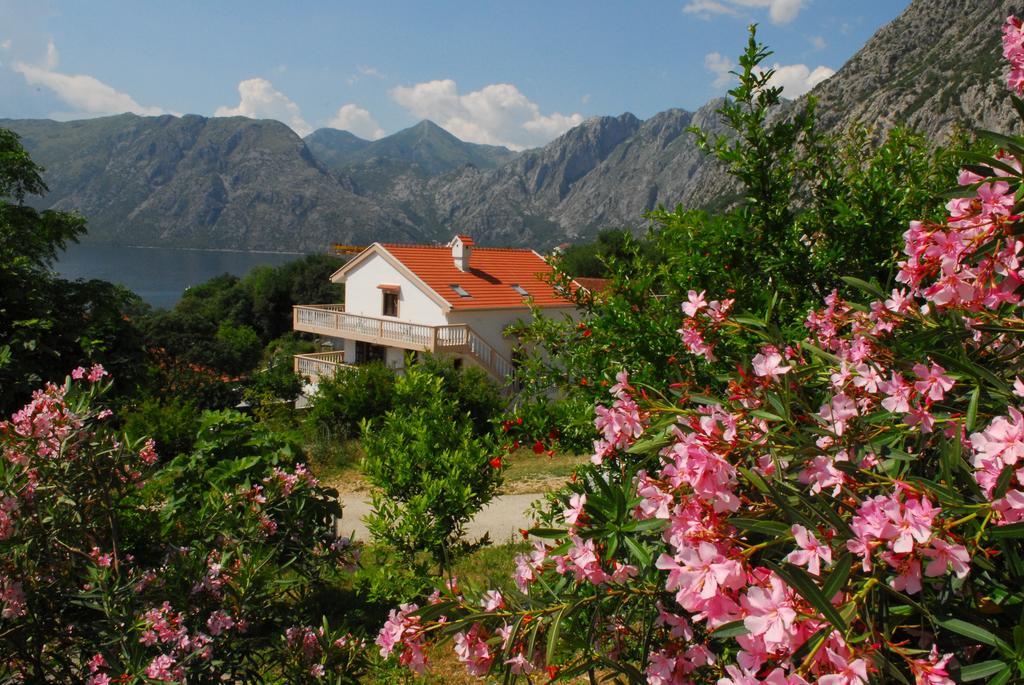 Apartments Blue Lagoon Kotor Dış mekan fotoğraf
